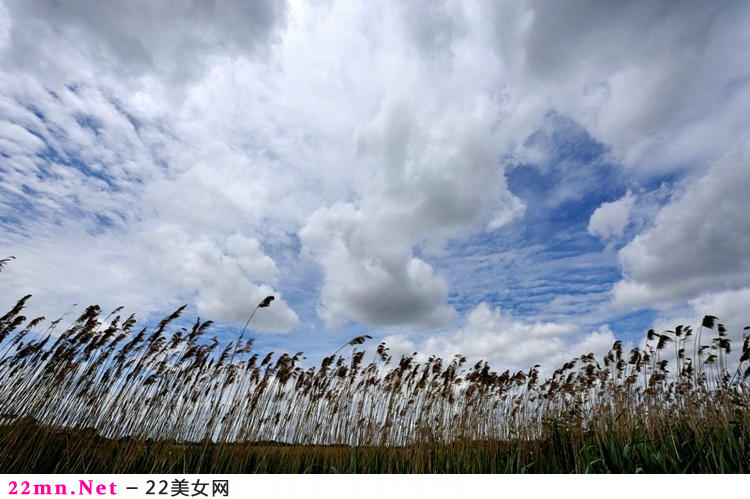 多伦多变幻的天空4