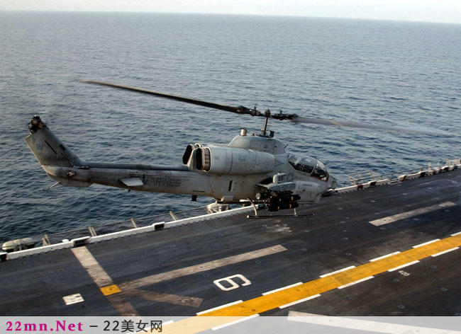 AH-1眼镜蛇直升机2