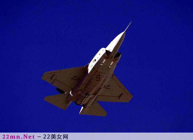 F-111土豚战斗轰炸机1