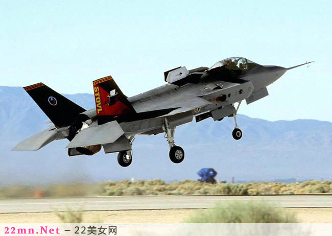 F-111土豚战斗轰炸机9