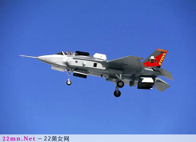 F-111土豚战斗轰炸机11