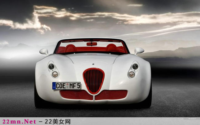 低调的华丽Wiesmann威兹曼Roadster3