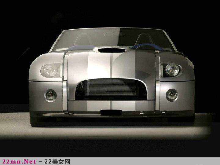 福特野马眼镜蛇Shelby GT500(11)