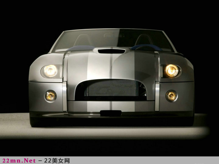 福特野马眼镜蛇Shelby GT500(12)