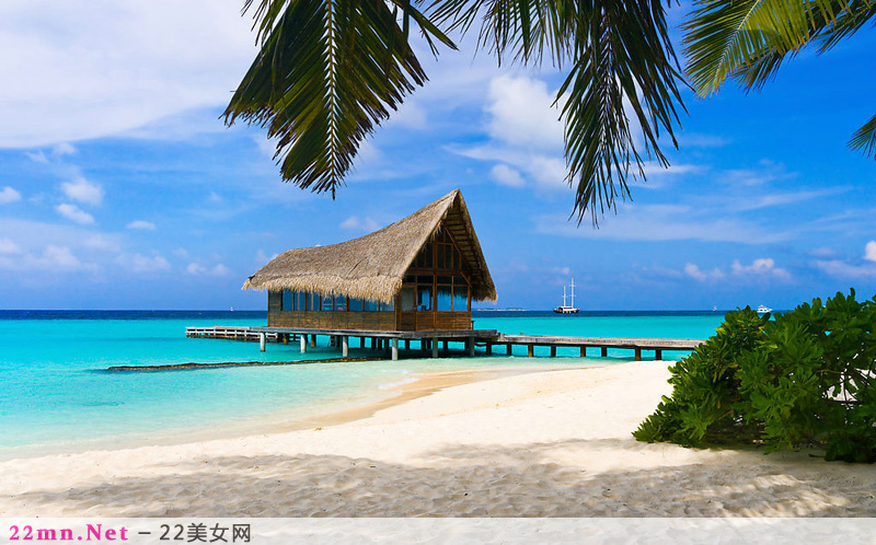 夏日海边沙滩风景图片9