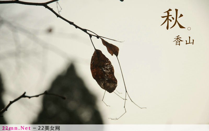 北京香山静宜园秋之红叶唯美图片2