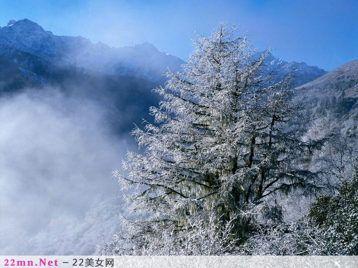 中国名山冬天的唯美雪景图片2