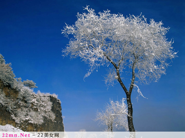 中国名山冬天的唯美雪景图片3