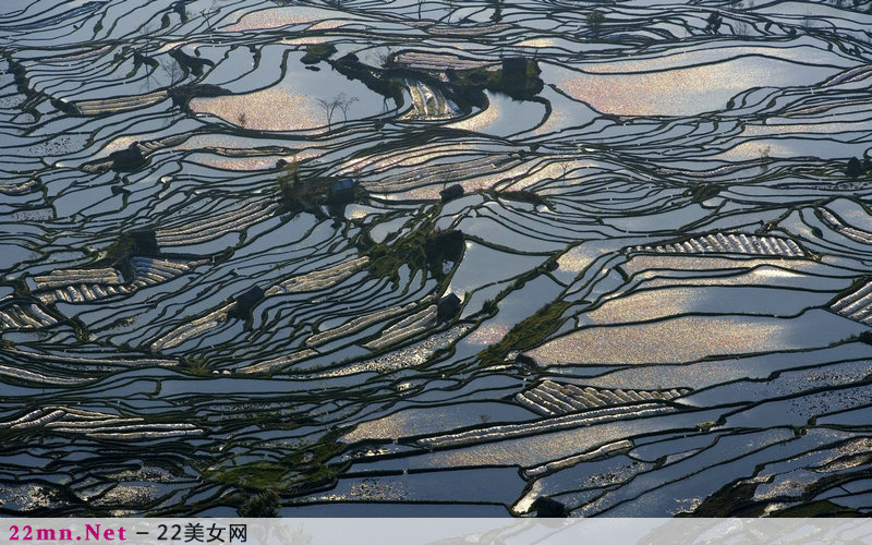 中国美丽的梯田风光图片2