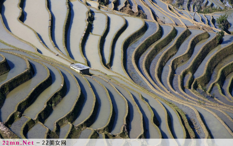 中国美丽的梯田风光图片3