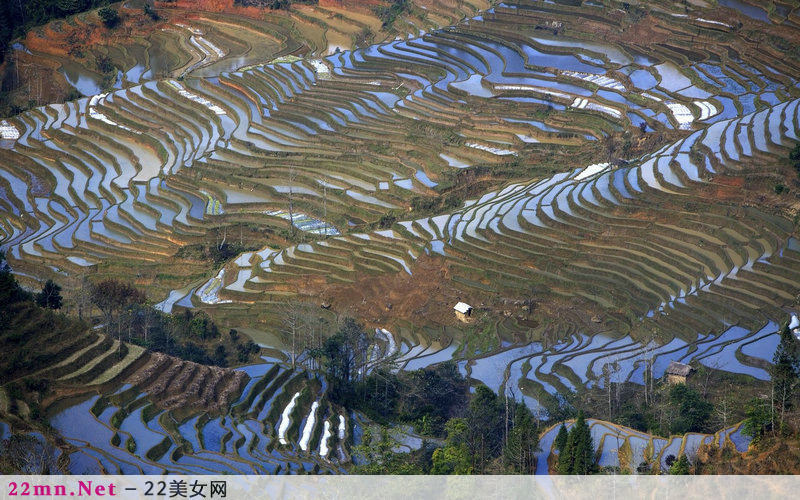 中国美丽的梯田风光图片8