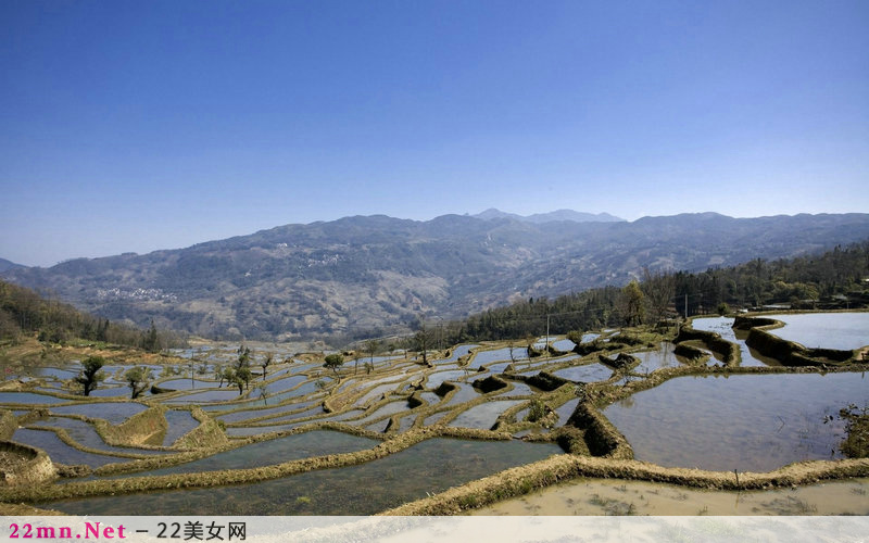 中国美丽的梯田风光图片10