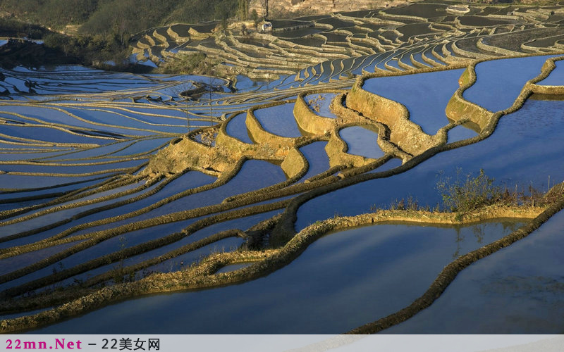 中国美丽的梯田风光图片19