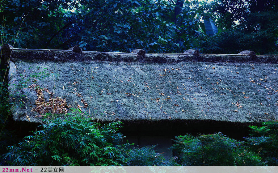 天府之国四川成都唯美风景17