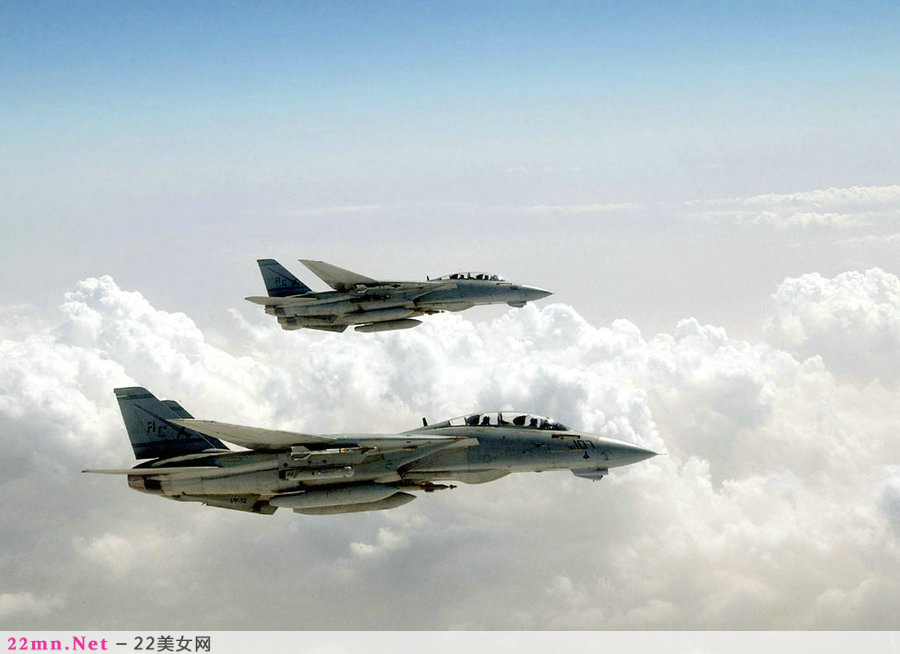 F-14雄猫舰载战斗机3