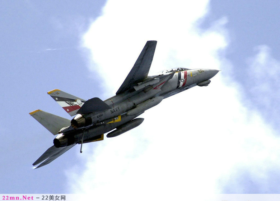 F-14雄猫舰载战斗机4