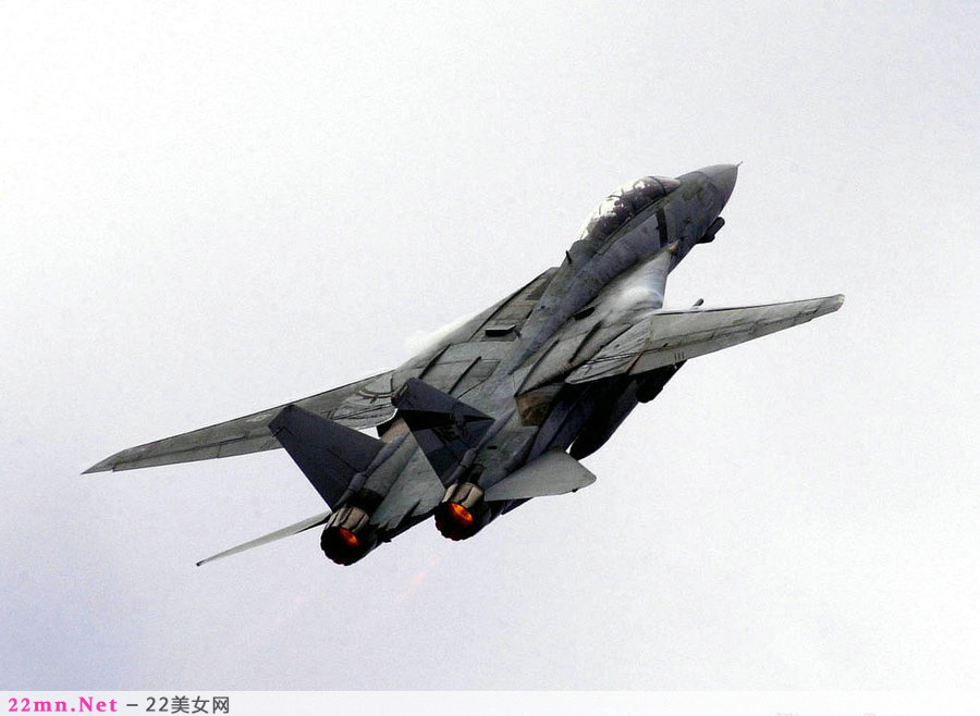 F-14雄猫舰载战斗机5