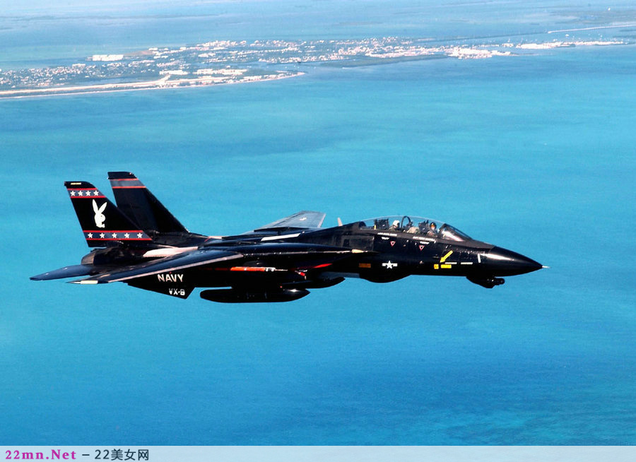 F-14雄猫舰载战斗机7