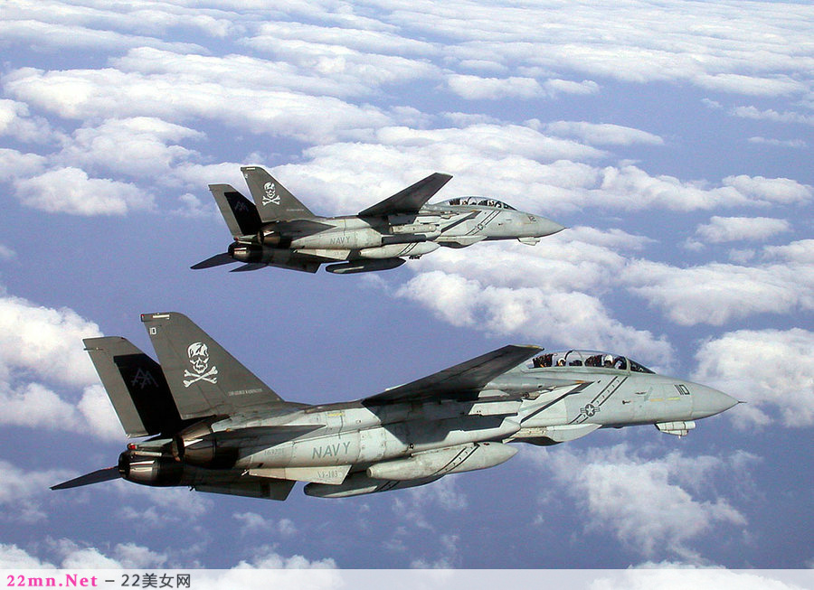 F-14雄猫舰载战斗机11