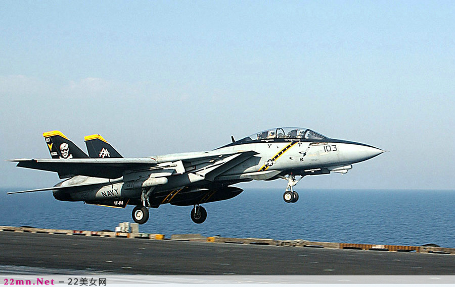 F-14雄猫舰载战斗机16