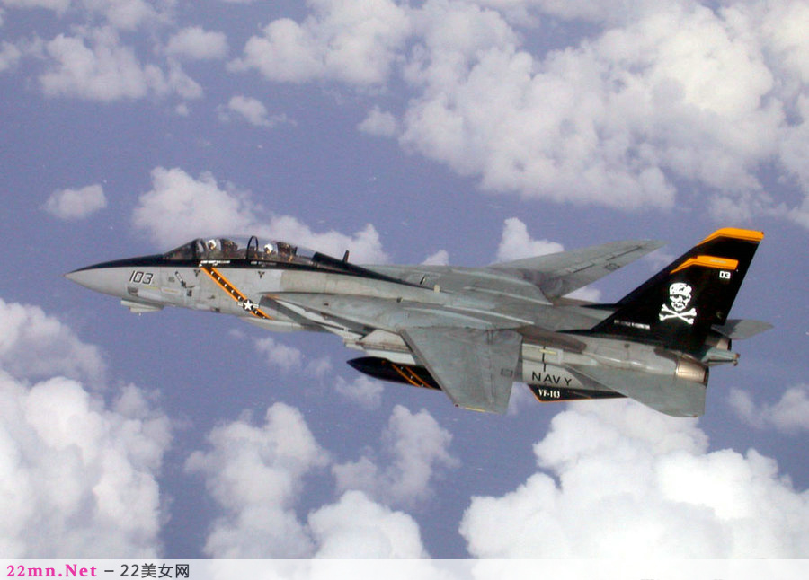 F-14雄猫舰载战斗机19