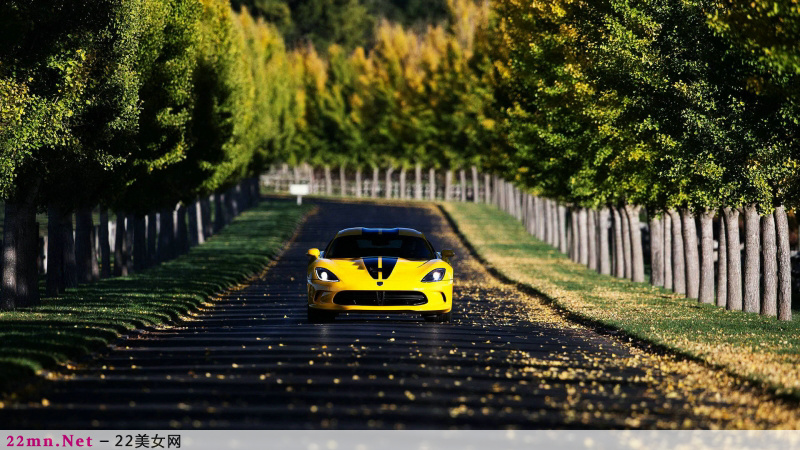 道奇蝰蛇SRT Viper GTS超级跑车1