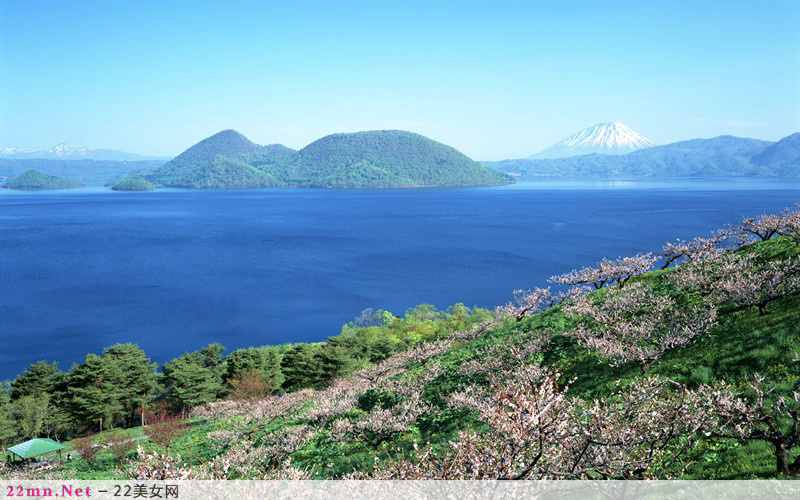 放浪在日本北海道花海图片10