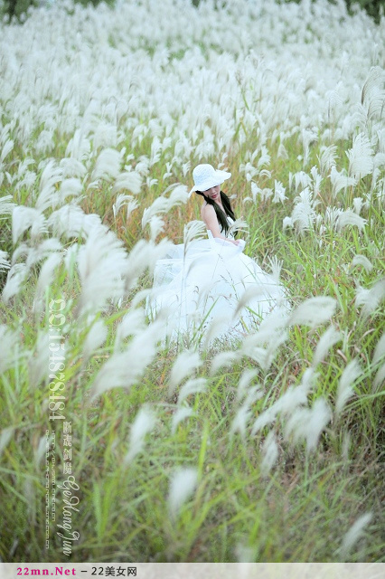 清纯新娘芦苇丛中的婚纱摄影7